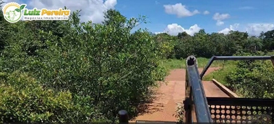 Terreno, 1694 m² - Foto 4