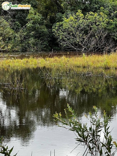 Terreno, 402 m² - Foto 4