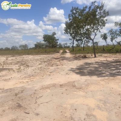 Terreno, 3872 hectares - Foto 4