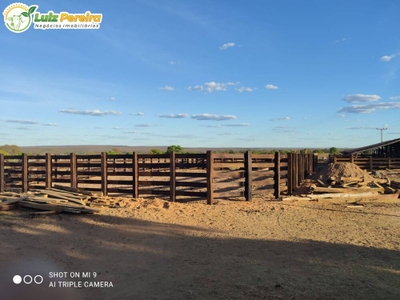 Terreno, 3915 m² - Foto 3