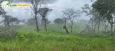 Terreno, 8733 m² - Foto 2