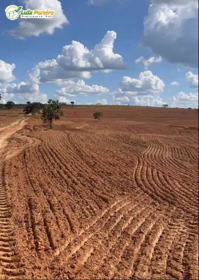 Terreno, 8733 m² - Foto 4