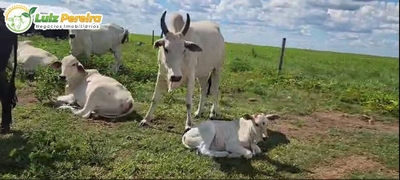 Terreno, 1936 m² - Foto 2