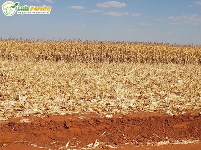 Terreno, 1 hectares - Foto 1