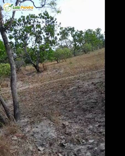 Terreno, 3700 m² - Foto 3