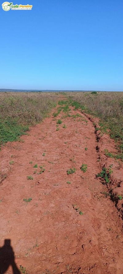 Terreno, 406 m² - Foto 3