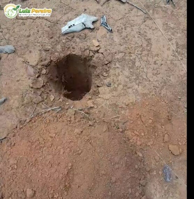 Terreno, 2490 m² - Foto 3