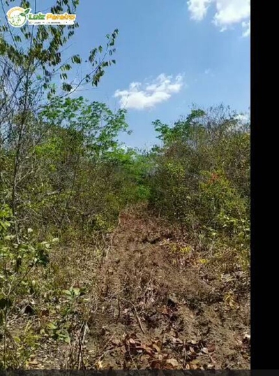 Terreno, 2490 m² - Foto 1