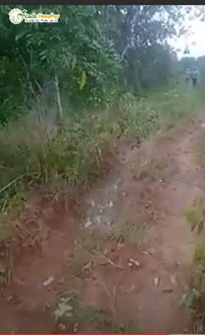 Terreno, 387 hectares - Foto 2