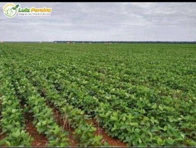 Terreno, 822 m² - Foto 2