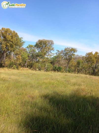 Terreno, 871 hectares - Foto 3