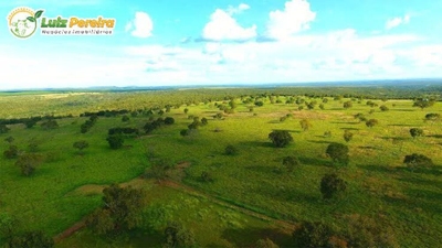 Terreno, 871 hectares - Foto 1