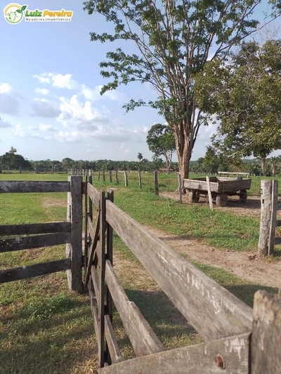 Terreno, 1306 m² - Foto 4