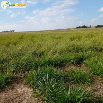 Terreno, 3675 m² - Foto 5