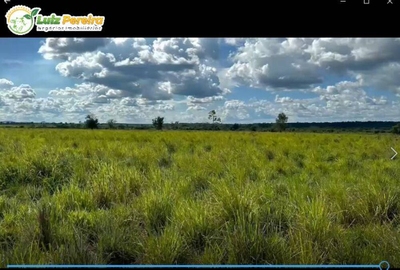 Terreno, 4477 hectares - Foto 3