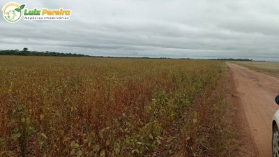 Terreno, 857 hectares - Foto 3