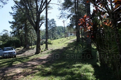 Sítio, 3 quartos, 40000 m² - Foto 4