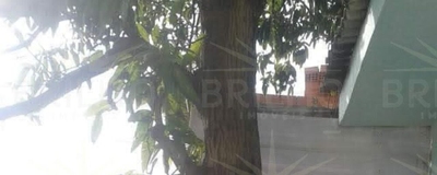 Casa, 3 quartos, 200 m² - Foto 2