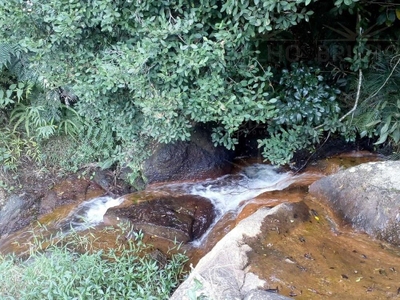 Terreno, 2221 m² - Foto 5