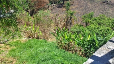 Terreno, 2673 m² - Foto 2