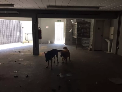 Prédio Inteiro - Foto 2