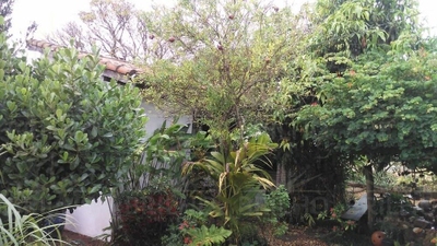 Chácara, 3 quartos - Foto 5