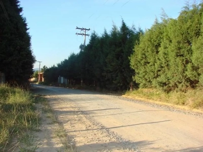 Terreno, 6000 m² - Foto 4