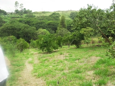 Terreno, 6000 m² - Foto 5