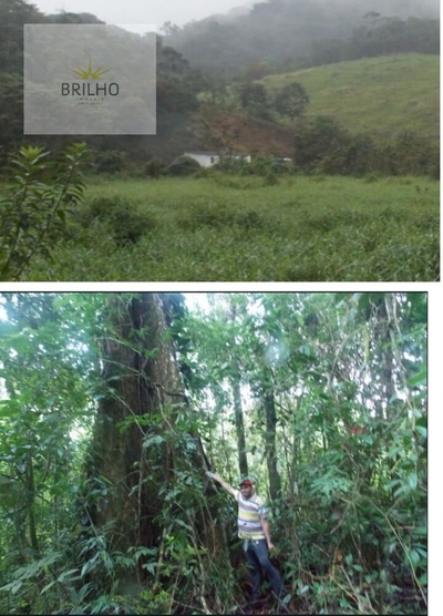 Sítio, 3 quartos, 250000 m² - Foto 4