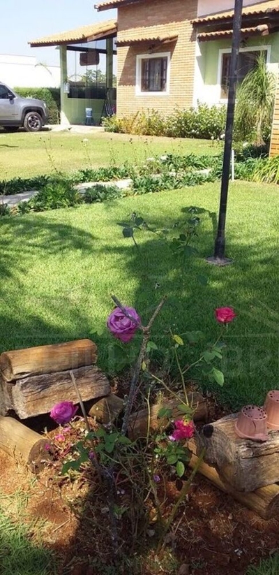 Chácara, 4 quartos - Foto 1