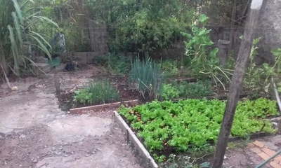 Terreno, 3297 m² - Foto 4