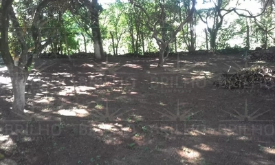 Terreno, 3297 m² - Foto 2