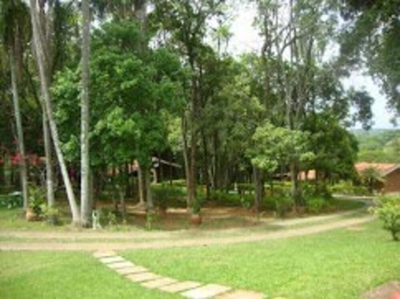 Sítio, 4 quartos, 20000 m² - Foto 2