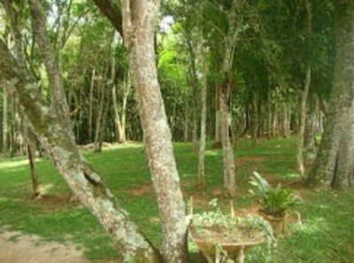 Sítio, 4 quartos, 20000 m² - Foto 5