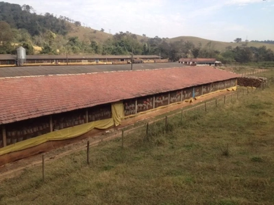 Sítio, 6 quartos, 100000 m² - Foto 3