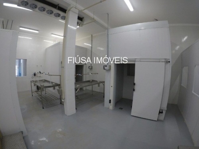 Terreno, 13 hectares - Foto 3