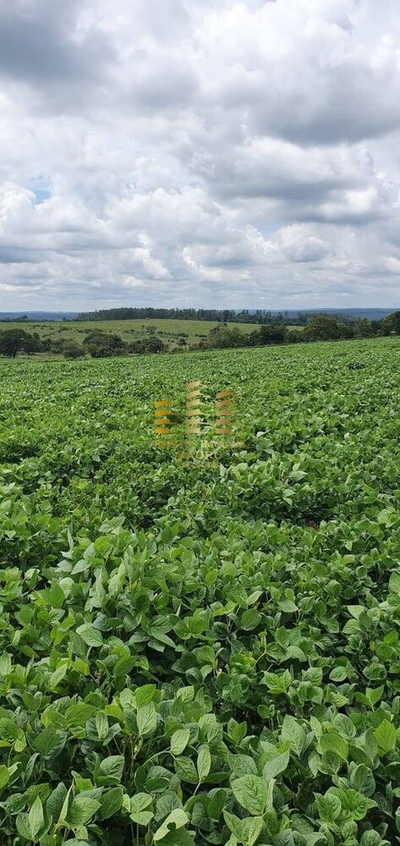 Terreno, 71 m² - Foto 2