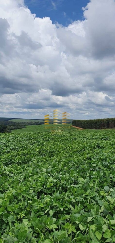 Terreno, 71 m² - Foto 3