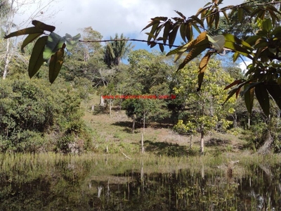 Terreno, 5 hectares - Foto 3