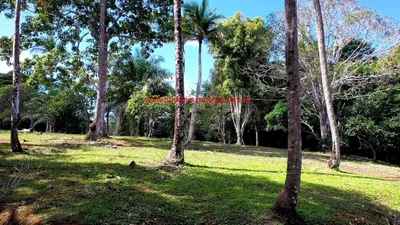 Terreno, 5206 m² - Foto 2