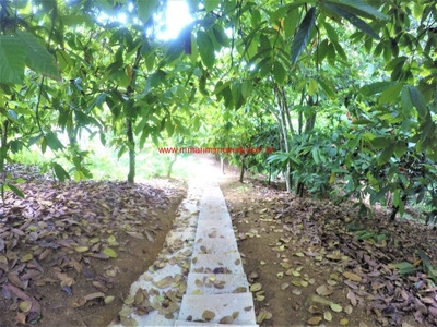 Terreno, 3115 m² - Foto 5