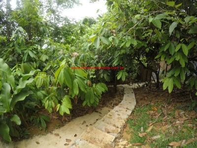 Terreno, 3115 m² - Foto 4