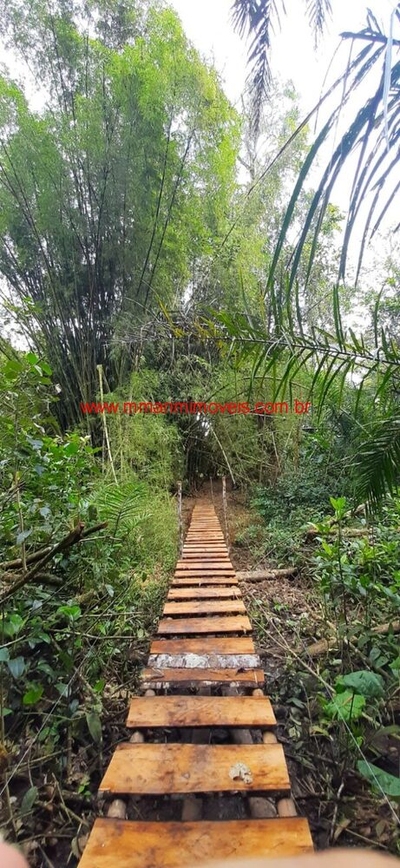 Terreno, 2 hectares - Foto 4