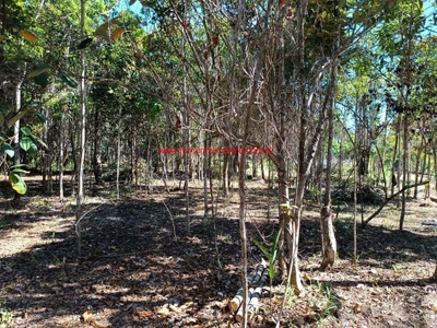 Terreno, 1600 m² - Foto 2