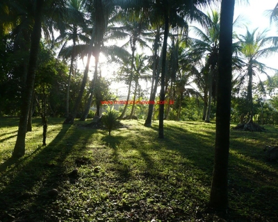 Terreno, 1 hectares - Foto 2