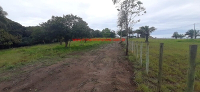 Terreno, 4 hectares - Foto 3