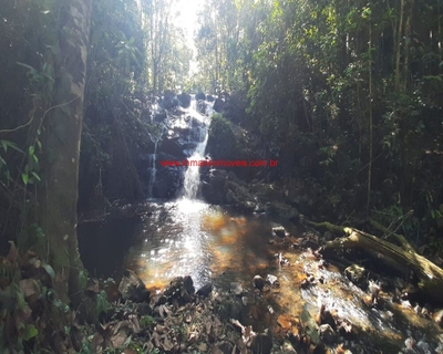 Terreno, 11 hectares - Foto 2