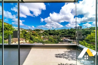 Casa, 4 quartos, 436 m² - Foto 3