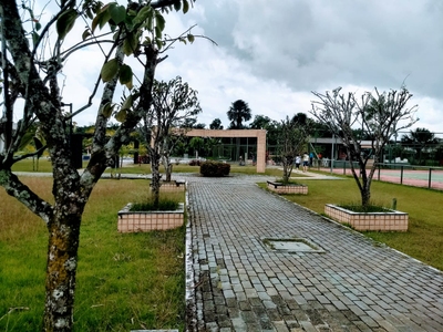 Apartamento, 3 quartos, 76 m² - Foto 4