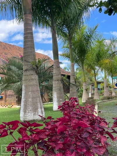 Sítio, 2 quartos, 2800 m² - Foto 4